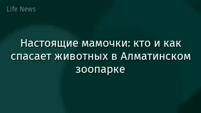 Настоящие мамочки: кто и как спасает животных в Алматинском зоопарке