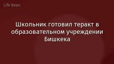 Школьник готовил теракт в образовательном учреждении Бишкека