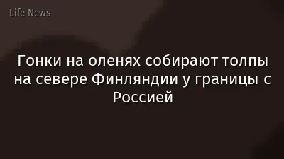 Гонки на оленях собирают толпы на севере Финляндии у границы с Россией