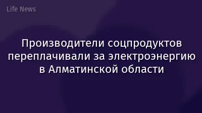 Производители соцпродуктов переплачивали за электроэнергию в Алматинской области