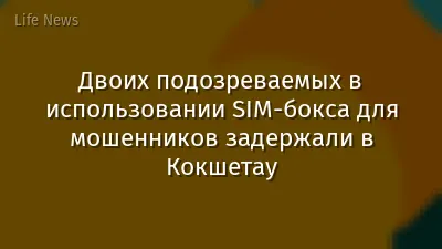 Двоих подозреваемых в использовании SIM-бокса для мошенников задержали в Кокшетау