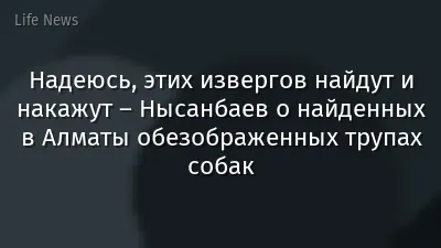 Надеюсь, этих извергов найдут и накажут – Нысанбаев о найденных в Алматы обезображенных трупах собак