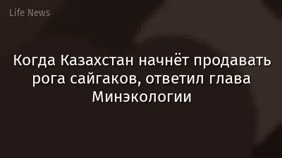 Когда Казахстан начнёт продавать рога сайгаков, ответил глава Минэкологии