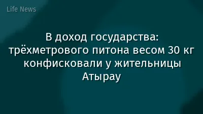 В доход государства: трёхметрового питона весом 30 кг конфисковали у жительницы Атырау