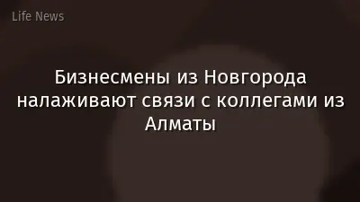 Бизнесмены из Новгорода налаживают связи с коллегами из Алматы