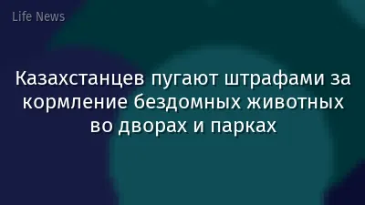 Казахстанцев пугают штрафами за кормление бездомных животных во дворах и парках