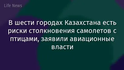 В шести городах Казахстана есть риски столкновения самолетов с птицами, заявили авиационные власти