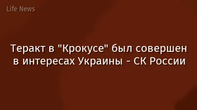 Теракт в "Крокусе" был совершен в интересах Украины - СК России