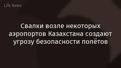 Свалки возле некоторых аэропортов Казахстана создают угрозу безопасности полётов