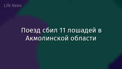 Поезд сбил 11 лошадей в Акмолинской области