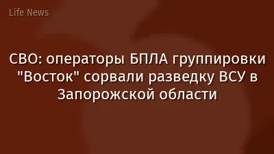 СВО: операторы БПЛА группировки "Восток" сорвали разведку ВСУ в Запорожской области