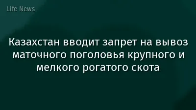 Казахстан вводит запрет на вывоз маточного поголовья крупного и мелкого рогатого скота