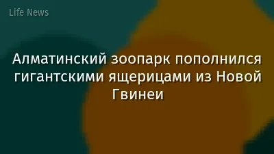 Алматинский зоопарк пополнился гигантскими ящерицами из Новой Гвинеи
