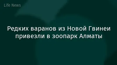 Редких варанов из Новой Гвинеи привезли в зоопарк Алматы