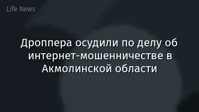 Дроппера осудили по делу об интернет-мошенничестве в Акмолинской области