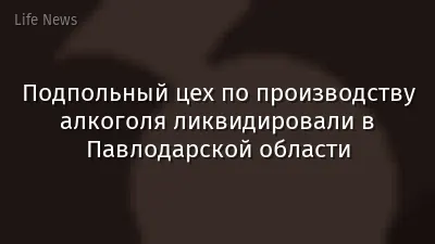 Подпольный цех по производству алкоголя ликвидировали в Павлодарской области