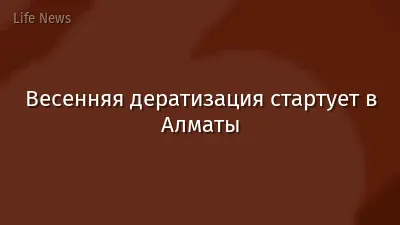 Весенняя дератизация стартует в Алматы