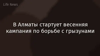 В Алматы стартует весенняя кампания по борьбе с грызунами