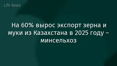 На 60% вырос экспорт зерна и муки из Казахстана в 2025 году – минсельхоз