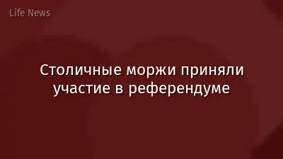 Столичные моржи приняли участие в референдуме