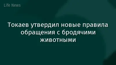 Токаев утвердил новые правила обращения с бродячими животными