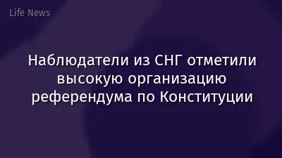 Наблюдатели из СНГ отметили высокую организацию референдума по Конституции