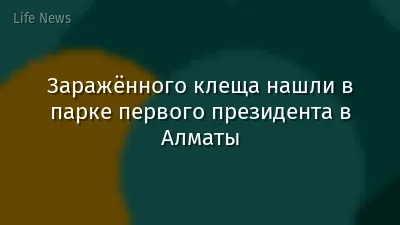 Заражённого клеща нашли в парке первого президента в Алматы