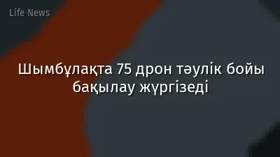 Шымбұлақта 75 дрон тәулік бойы бақылау жүргізеді