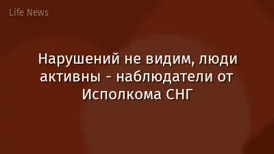 Нарушений не видим, люди активны - наблюдатели от Исполкома СНГ