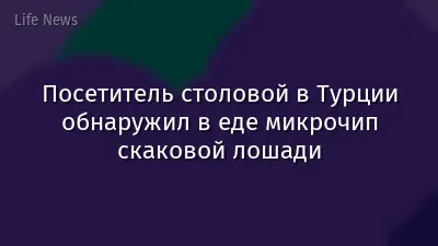 Посетитель столовой в Турции обнаружил в еде микрочип скаковой лошади