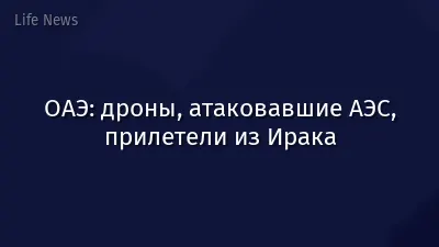 ОАЭ: дроны, атаковавшие АЭС, прилетели из Ирака