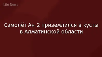 Самолёт Ан-2 приземлился в кусты в Алматинской области