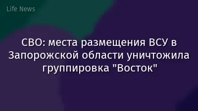 СВО: места размещения ВСУ в Запорожской области уничтожила группировка "Восток"