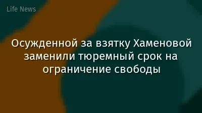 Осужденной за взятку Хаменовой заменили тюремный срок на ограничение свободы