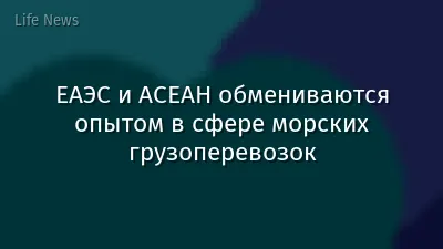ЕАЭС и АСЕАН обмениваются опытом в сфере морских грузоперевозок