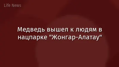 Медведь вышел к людям в нацпарке "Жонгар-Алатау"