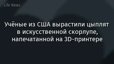 Учёные из США вырастили цыплят в искусственной скорлупе, напечатанной на 3D-принтере