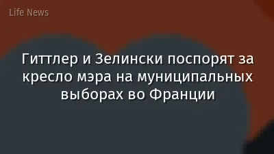 Гиттлер и Зелински поспорят за кресло мэра на муниципальных выборах во Франции
