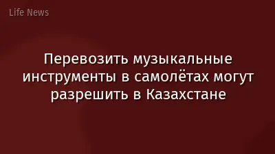 Перевозить музыкальные инструменты в самолётах могут разрешить в Казахстане