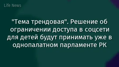 "Тема трендовая". Решение об ограничении доступа в соцсети для детей будут принимать уже в однопалатном парламенте РК