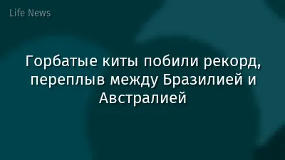 Горбатые киты побили рекорд, переплыв между Бразилией и Австралией