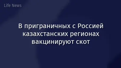 В приграничных с Россией казахстанских регионах вакцинируют скот