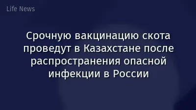 Срочную вакцинацию скота проведут в Казахстане после распространения опасной инфекции в России