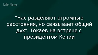 "Нас разделяют огромные расстояния, но связывает общий дух". Токаев на встрече с президентом Кении