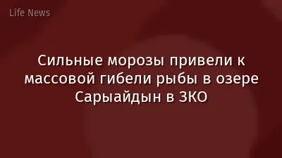Сильные морозы привели к массовой гибели рыбы в озере Сарыайдын в ЗКО