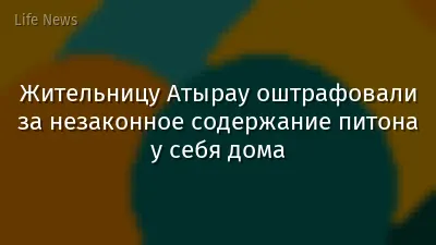 Жительницу Атырау оштрафовали за незаконное содержание питона у себя дома