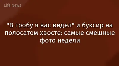 "В гробу я вас видел" и буксир на полосатом хвосте: самые смешные фото недели