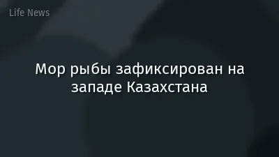 Мор рыбы зафиксирован на западе Казахстана