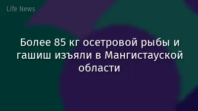 Более 85 кг осетровой рыбы и гашиш изъяли в Мангистауской области