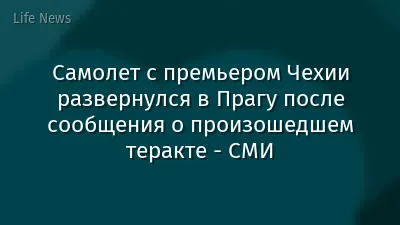 Самолет с премьером Чехии развернулся в Прагу после сообщения о произошедшем теракте - СМИ